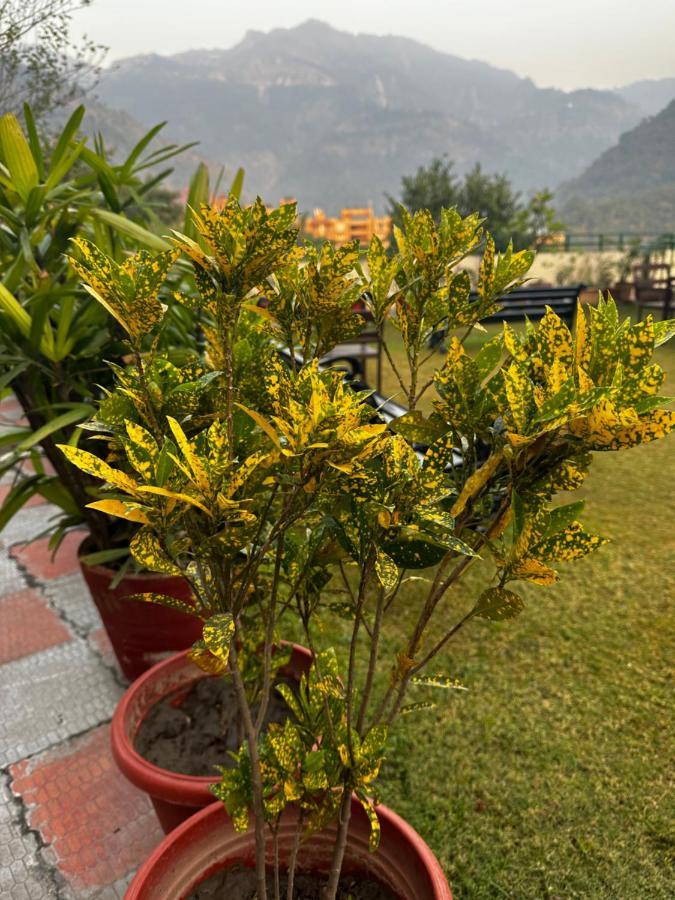 Hotel Dewa Retreat- A Himalayan Boutique Hotel Rishīkesh Dış mekan fotoğraf