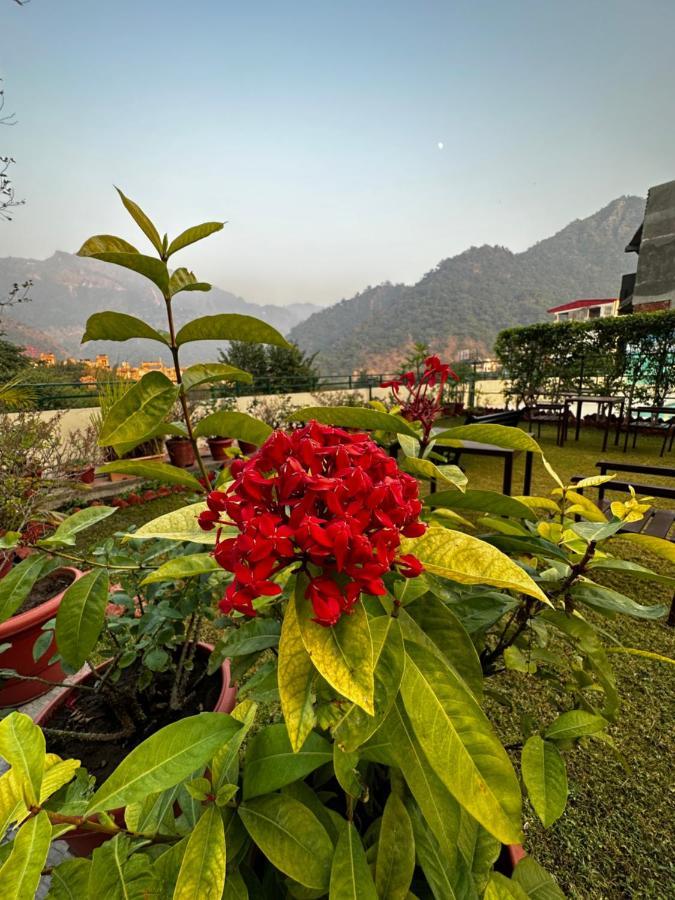 Hotel Dewa Retreat- A Himalayan Boutique Hotel Rishīkesh Dış mekan fotoğraf